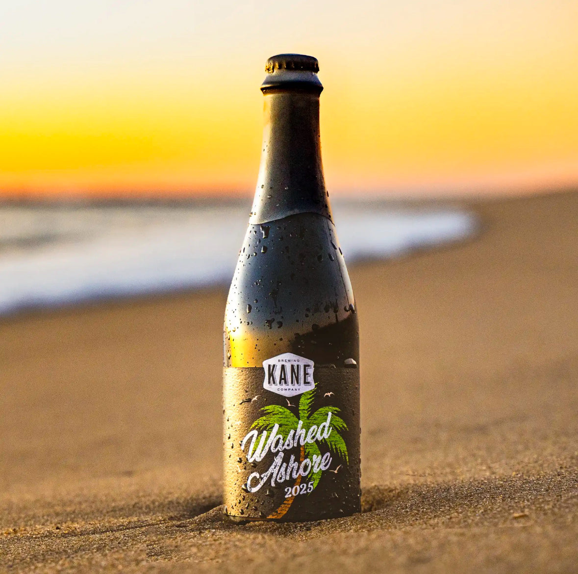 Washed Ashore (2025)