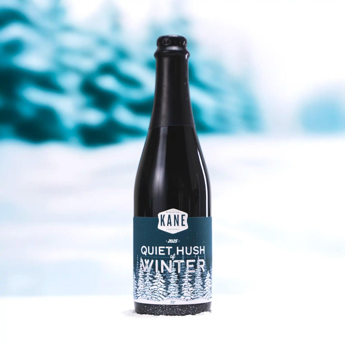 Quiet Hush Of Winter (2025)