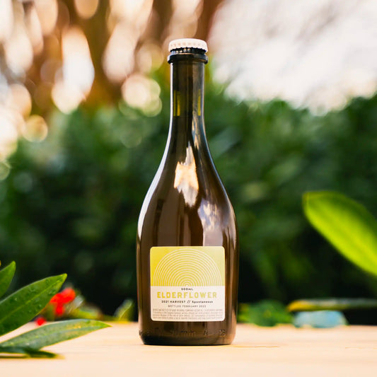 Elderflower | 2021 Harvest