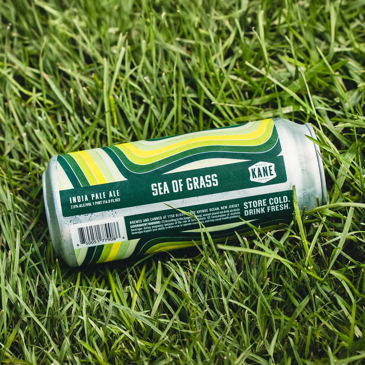 Sea Of Grass